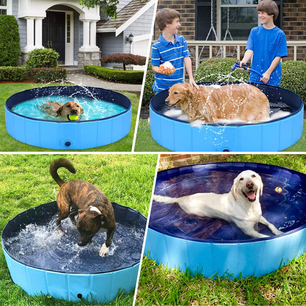 Pet Swimming Bathtub Pool Collapsible Hard Plastic Pet Swimming Bathtub Pool Medium