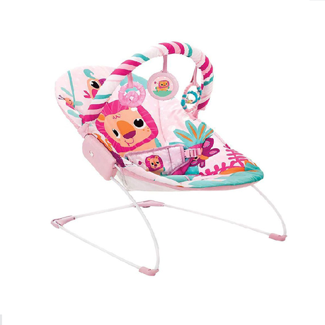 Baby Music and Soothe Bouncer