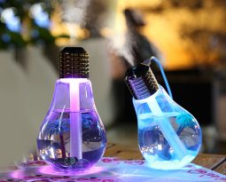 Bulb Humidifier