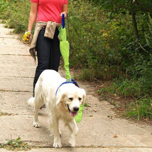 Reflective Dog Leash Set