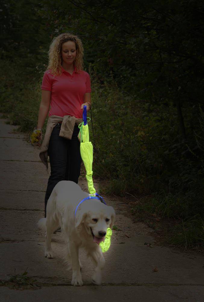 Reflective Dog Leash Set